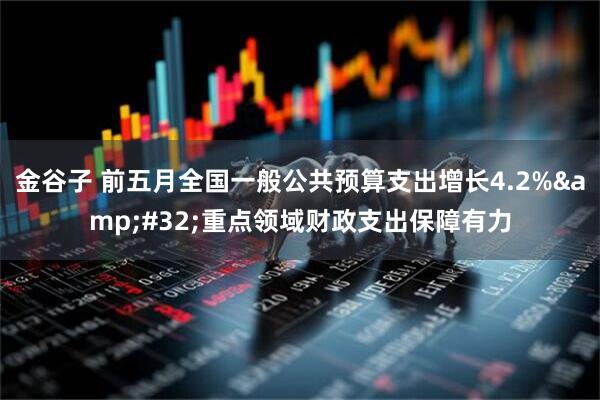 金谷子 前五月全国一般公共预算支出增长4.2%&#32;重点领域财政支出保障有力