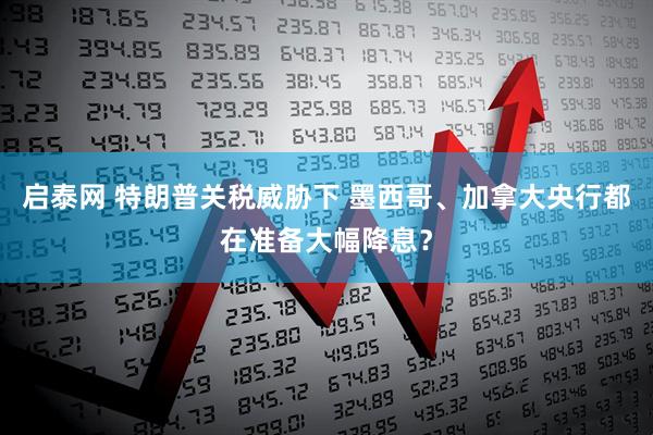启泰网 特朗普关税威胁下 墨西哥、加拿大央行都在准备大幅降息？