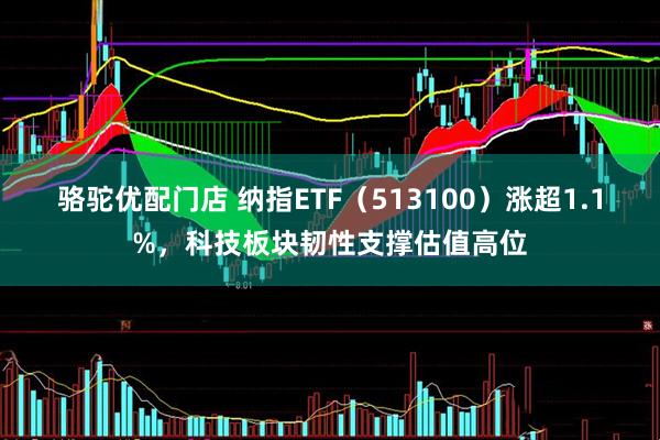 骆驼优配门店 纳指ETF（513100）涨超1.1%，科技板块韧性支撑估值高位