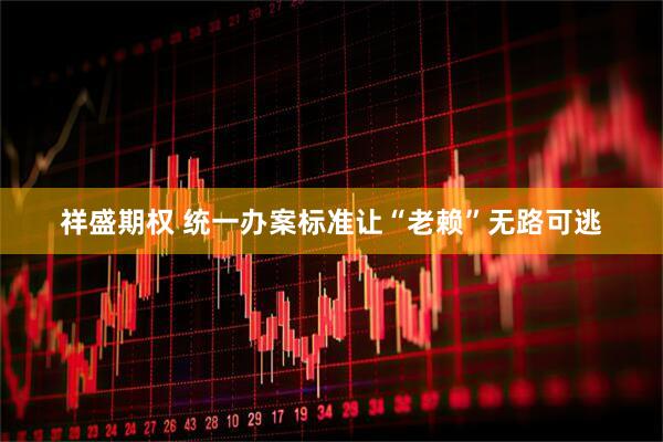 祥盛期权 统一办案标准让“老赖”无路可逃