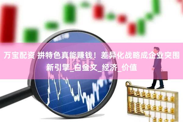 万宝配资 拼特色真能赚钱！差异化战略成企业突围新引擎_白金文_经济_价值